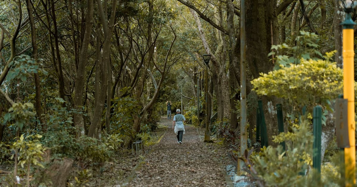 Why Fresh Air Wins Over Indoors