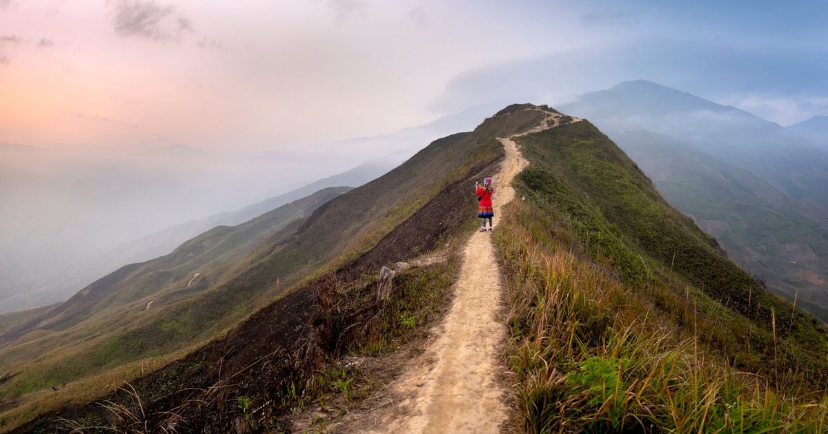 Walk Every Day: Energy & Focus Boost
