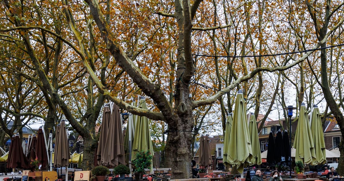 Delft Altstadt Audio-Stadtrundgang auf eigene Faust