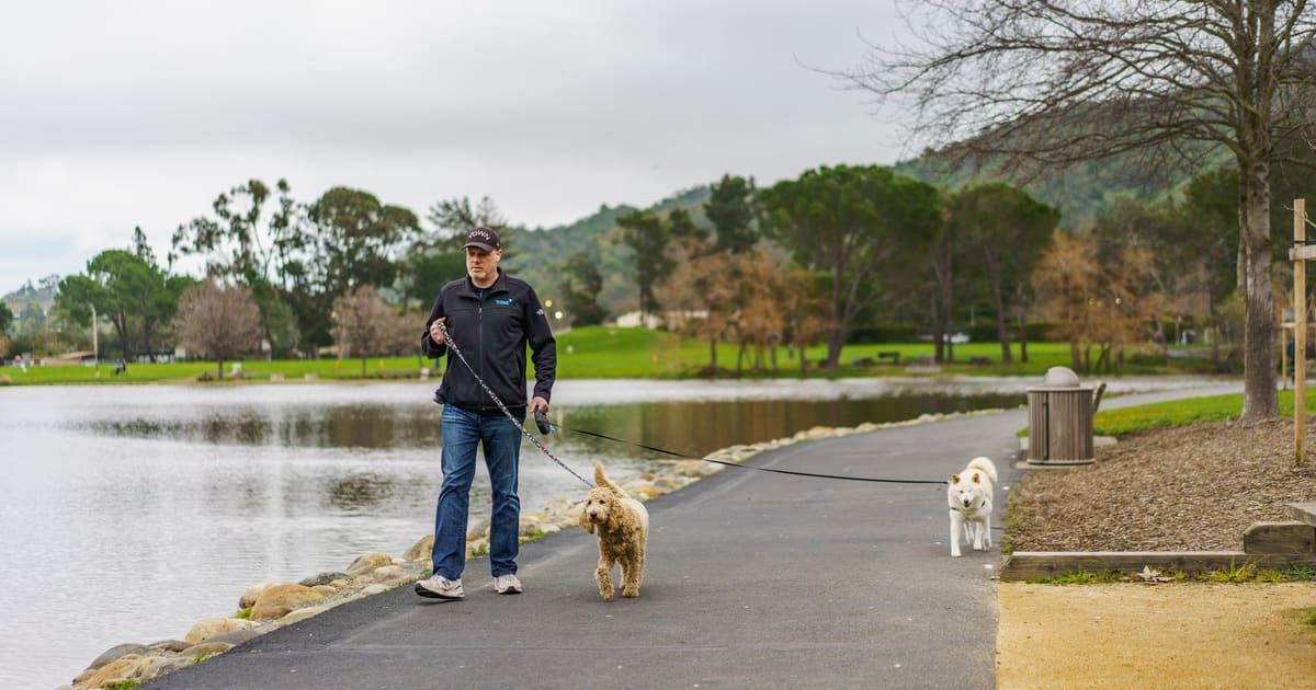 7 Dog Walking Etiquette Rules to Know