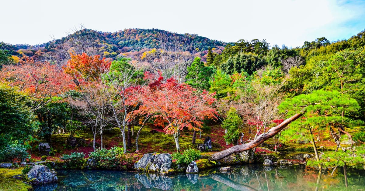Arashiyama, en Kioto: tour a pie con audioguía (autoguiado)