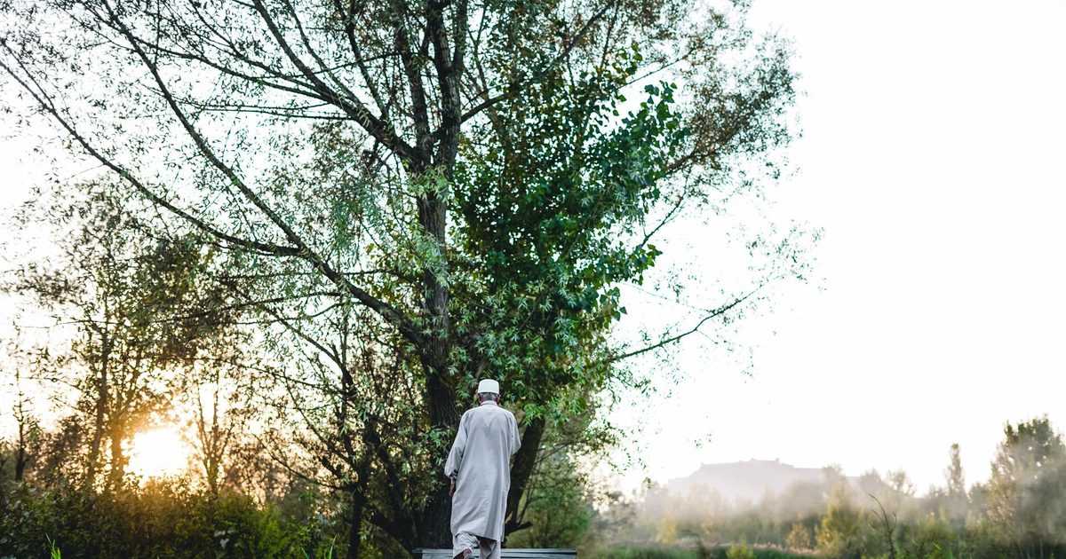 Morning Walk vs Evening Walk: Which Fits Your Life?