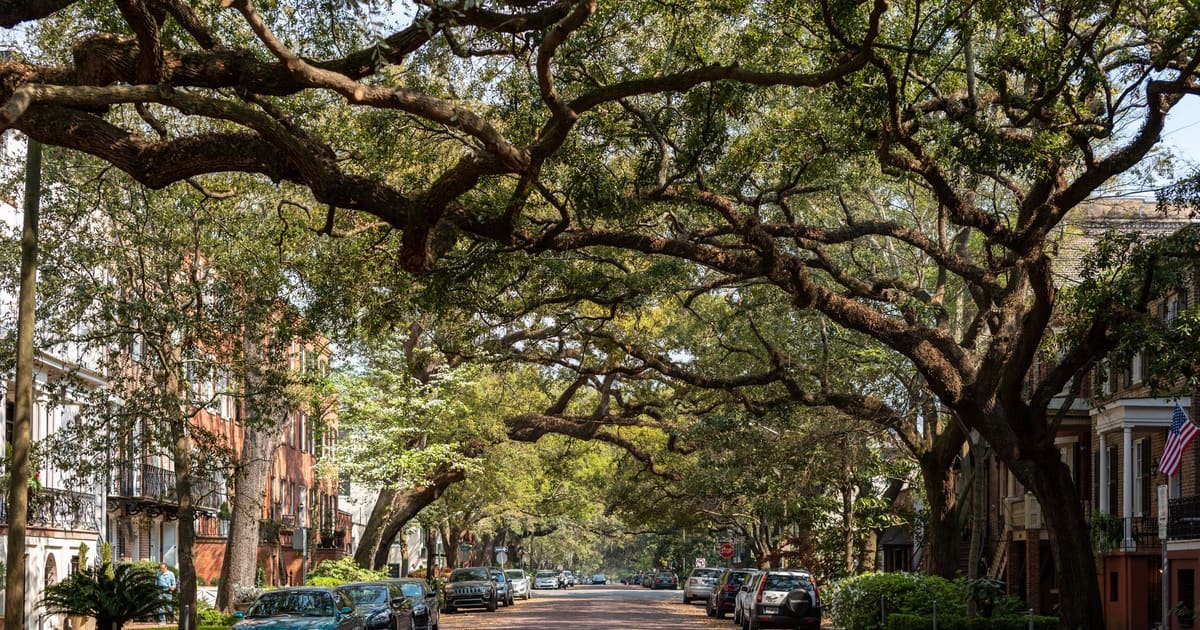 Savannah Riverfront Audio Walking Tour (Self-Guided)