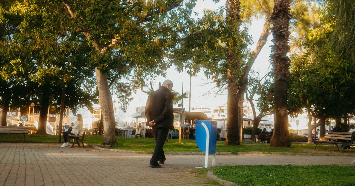 Walking Buddy for Seniors: Staying Active and Connected Together