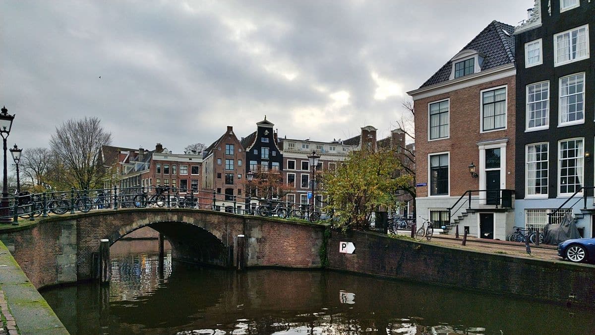 halaman belakang jordaan