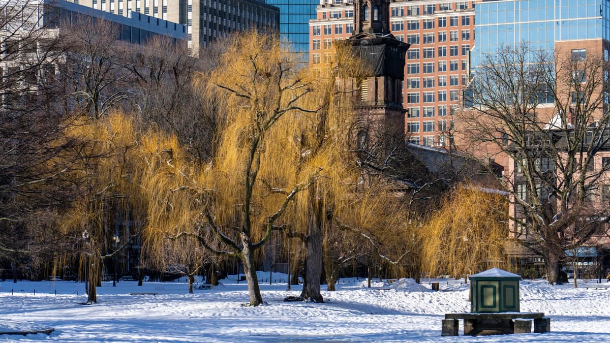 Park Street Church spire above a snowy Boston Common