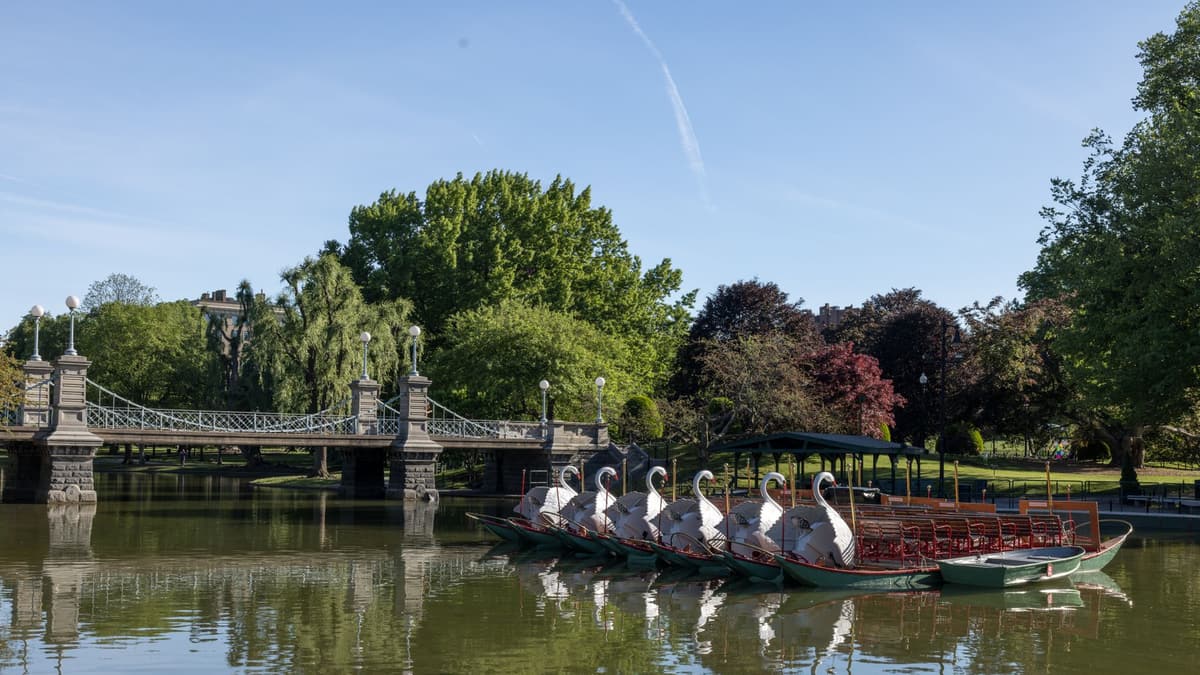 Boston Public Garden swan boats