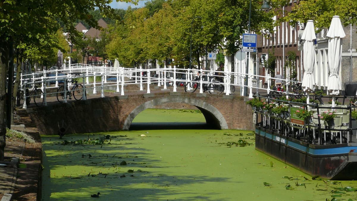 A canal in Delft