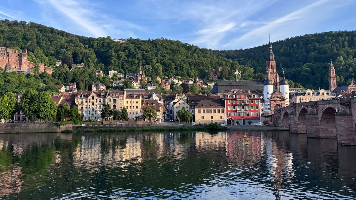 Neckar in Heidelberg
