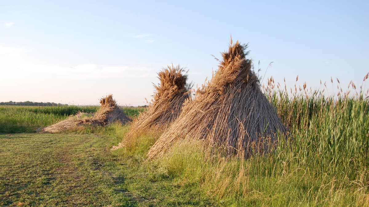Heuhaufen in der Großen Ungarischen Tiefebene im Sommer