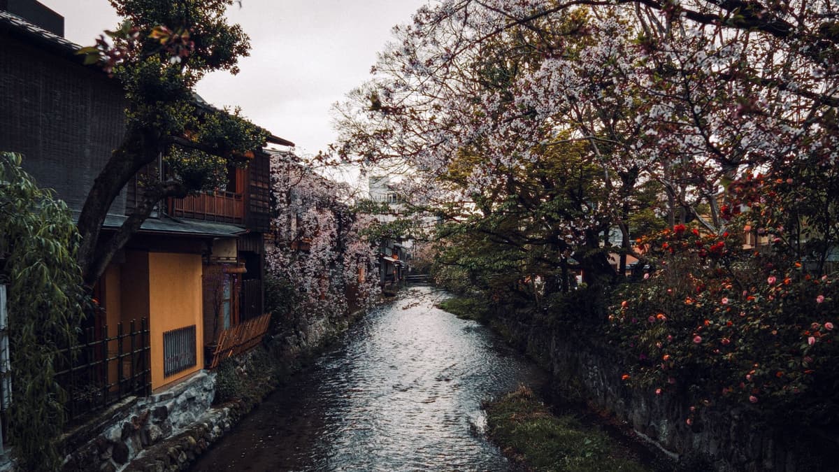 The Shirakawa canal in Gion, Kyoto
