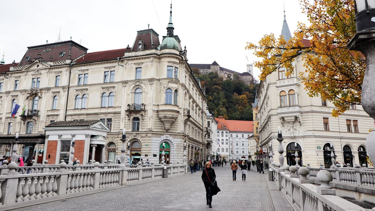 Ljubljana castle view city