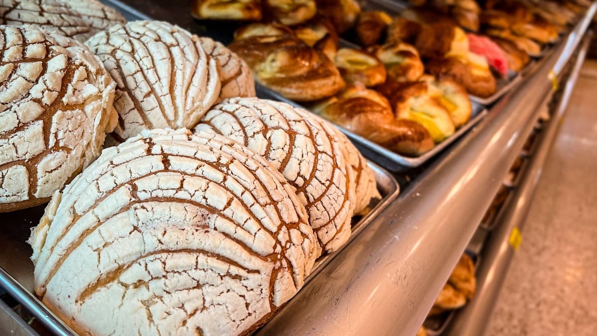 Conchas and pan dulce on bakery trays