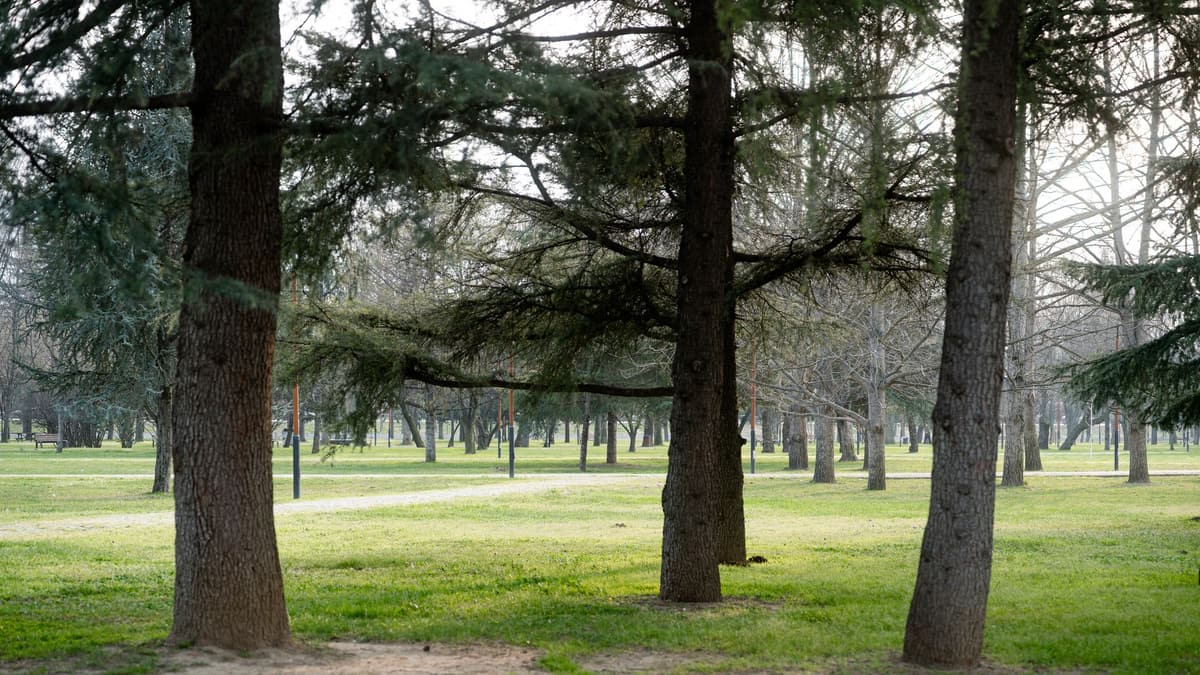 Sempione Park Milan
