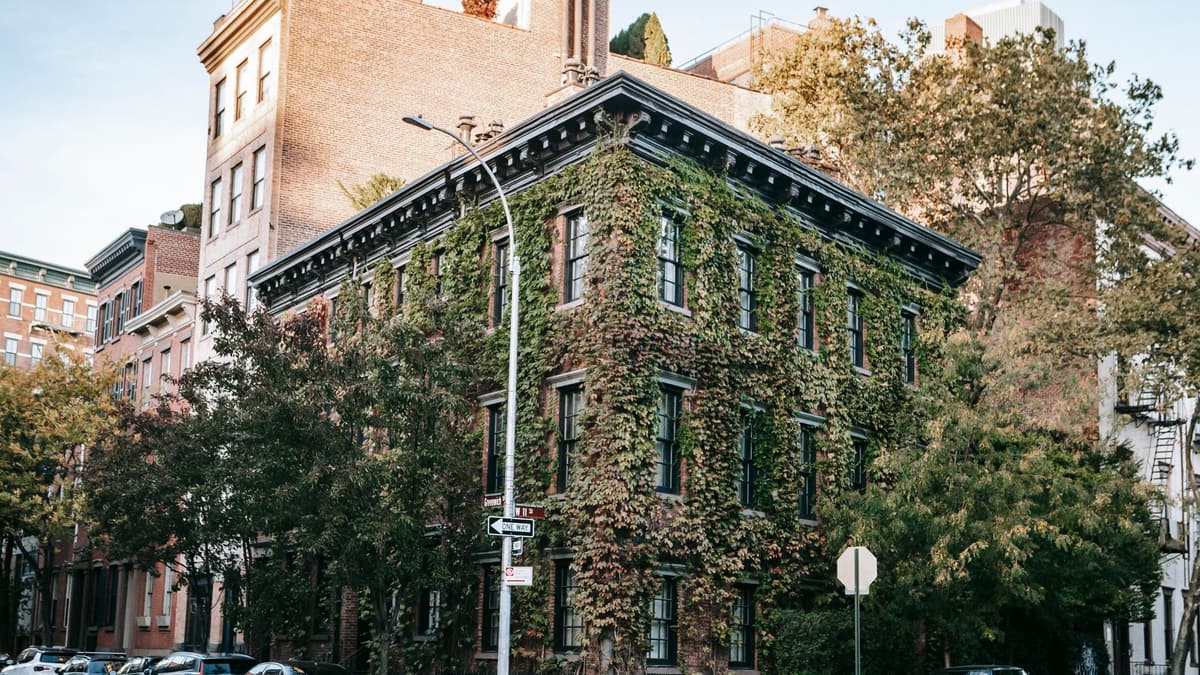 Ivy-covered brick corner building, New York