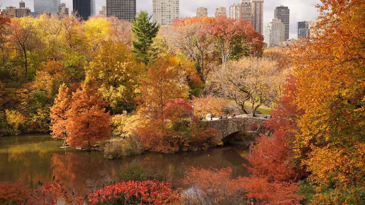 Bow Bridge Central Park