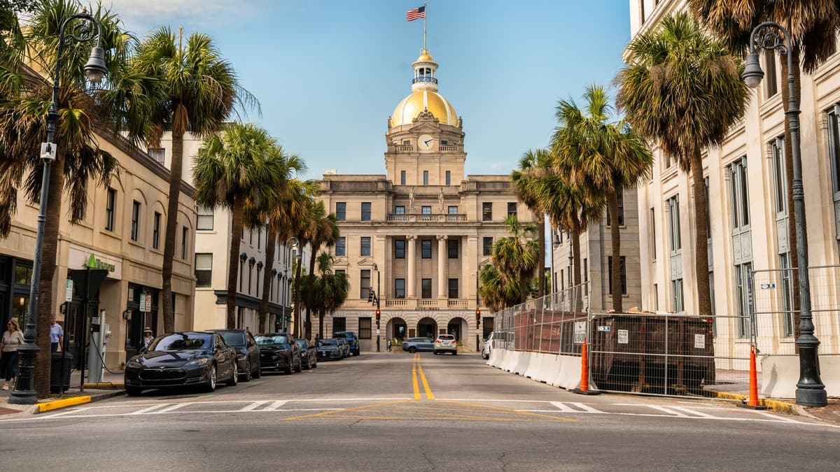 Spanisches Moos auf einem Platz in Savannah