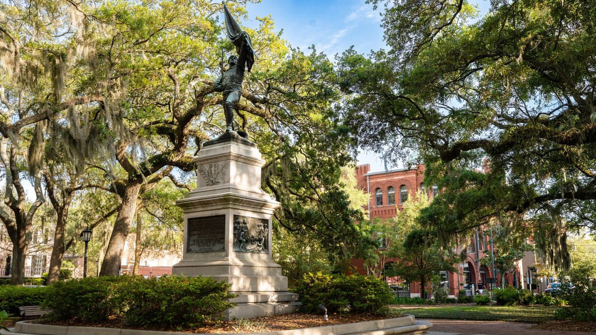 Savannah square live oaks