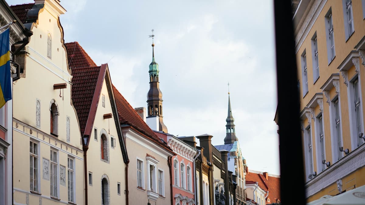 Tallinn old town rooftops view