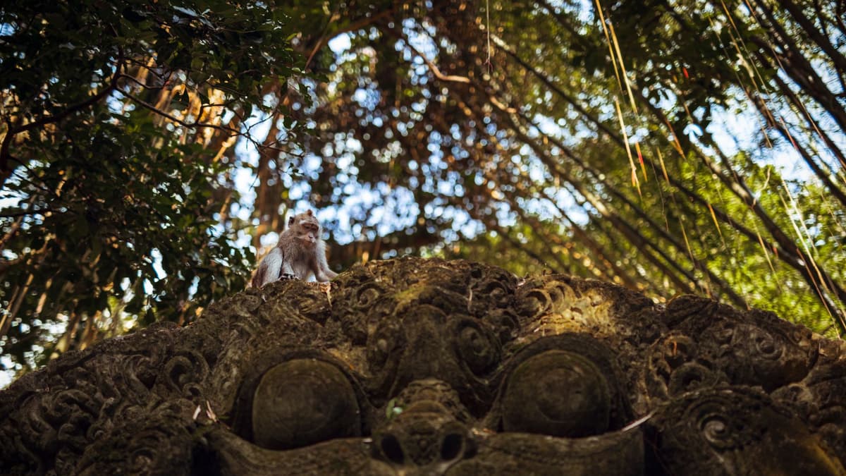 A macaque on a temple statue