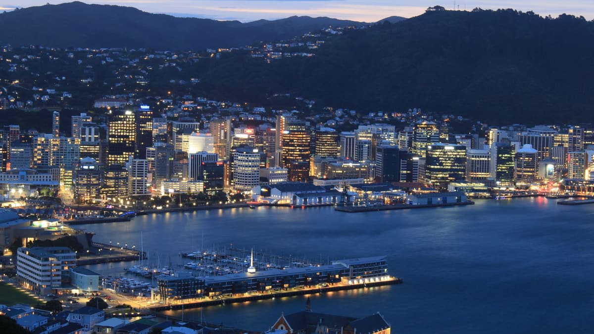 Wellington city and harbour at dusk from Mount Victoria