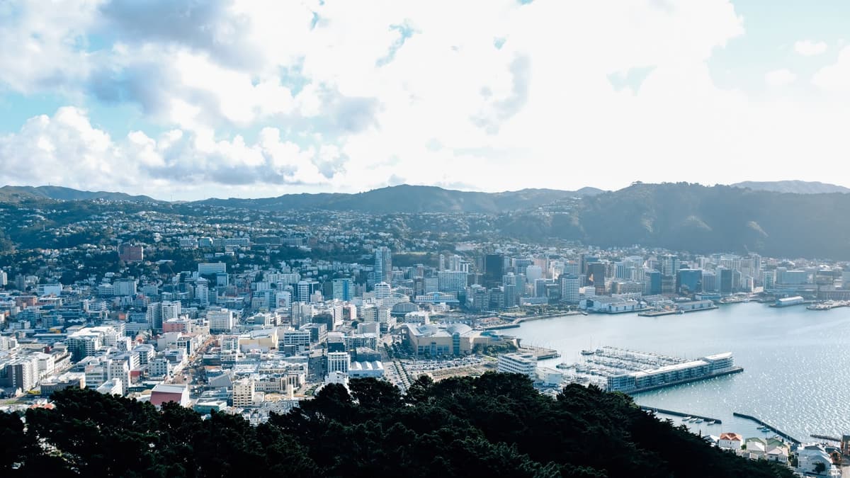 Wellington from above