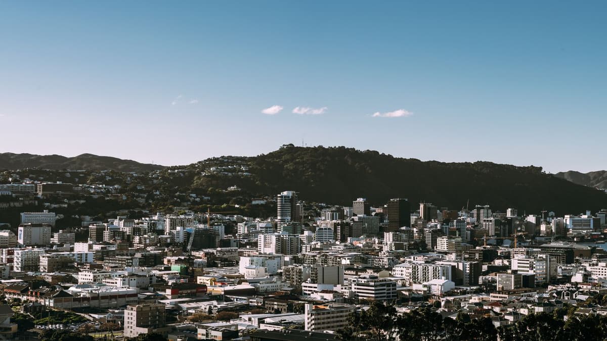 Wellington from the hills