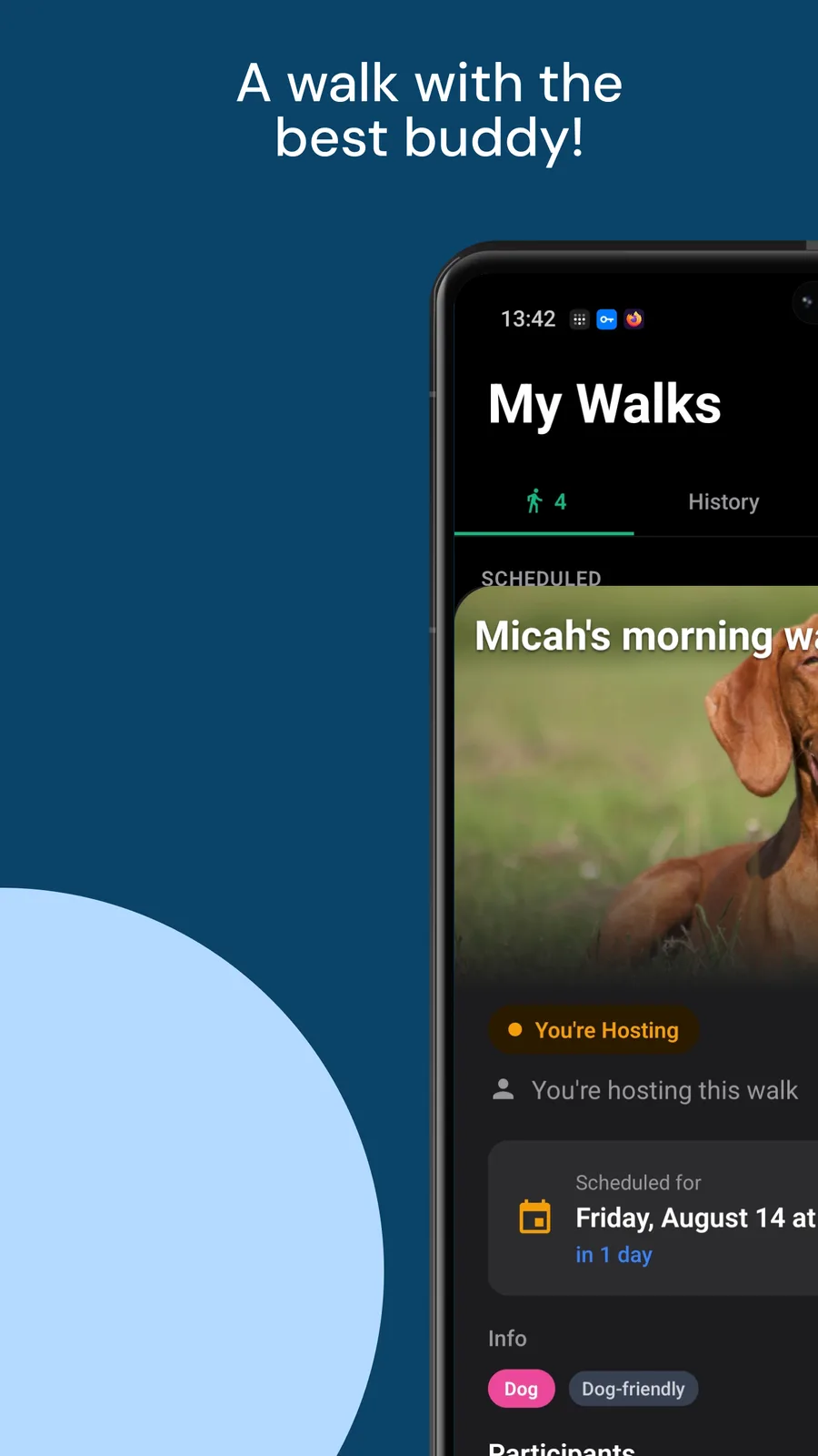 Walk the Dog With New Friends
