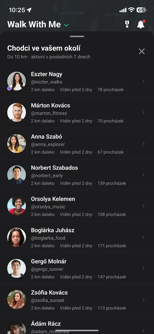 Mapa zobrazující přibližnou, posunutou polohu