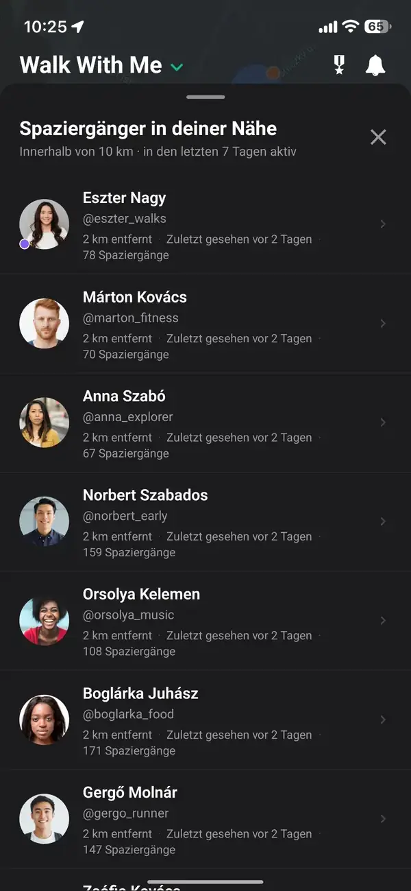 Die Karte zeigt einen ungenauen, versetzten Standort
