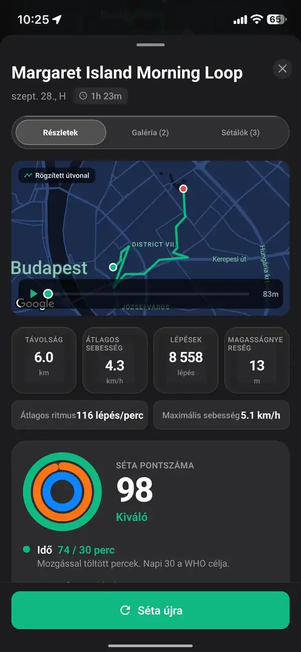 A Walk With Me élő nyomkövetője, amely mutatja a tempót, a távolságot és a kalóriákat