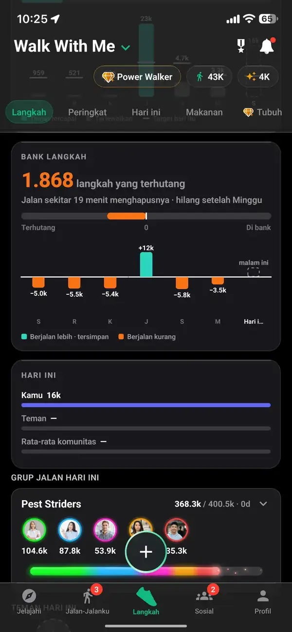 Riwayat langkah dengan total harian dan mingguan