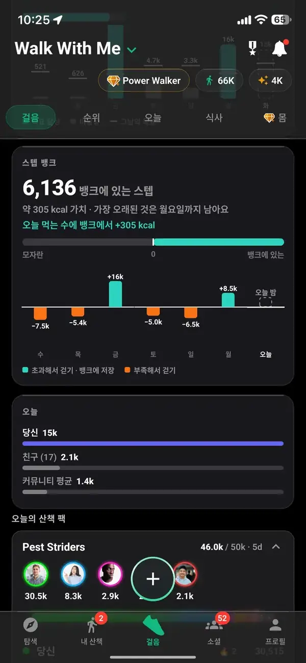 일일 및 주간 합계가 있는 스텝 히스토리