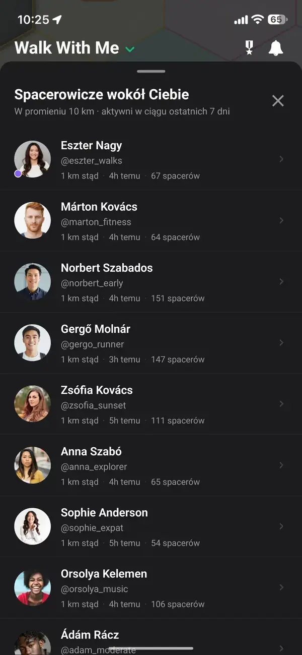 Mapa pokazująca przybliżoną, przesuniętą lokalizację