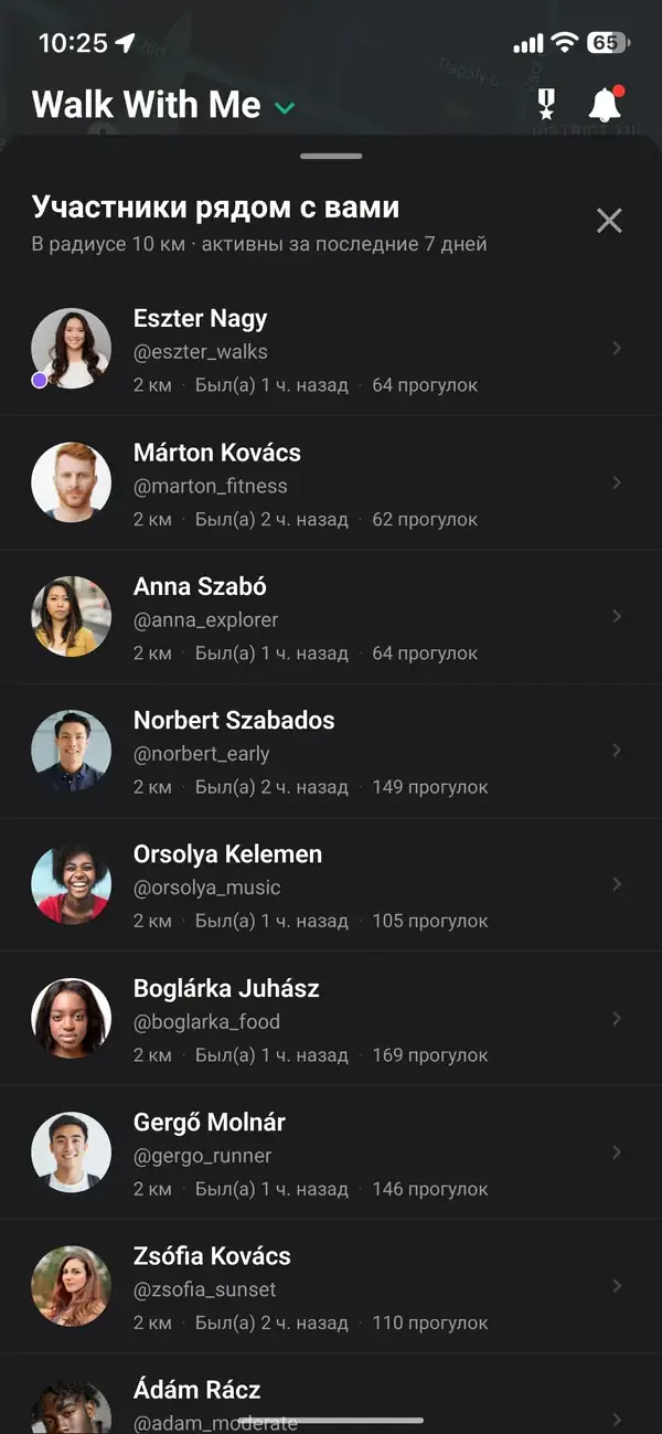 Карта, показывающая приблизительное, смещенное местоположение