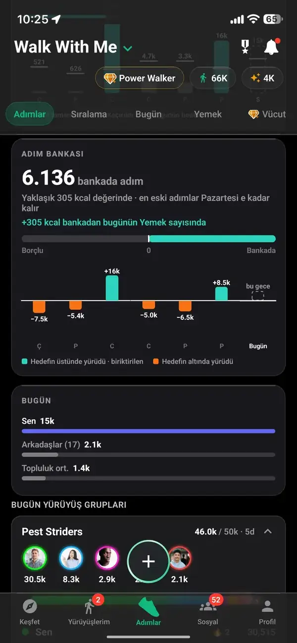 Günlük ve haftalık toplam adım geçmişi