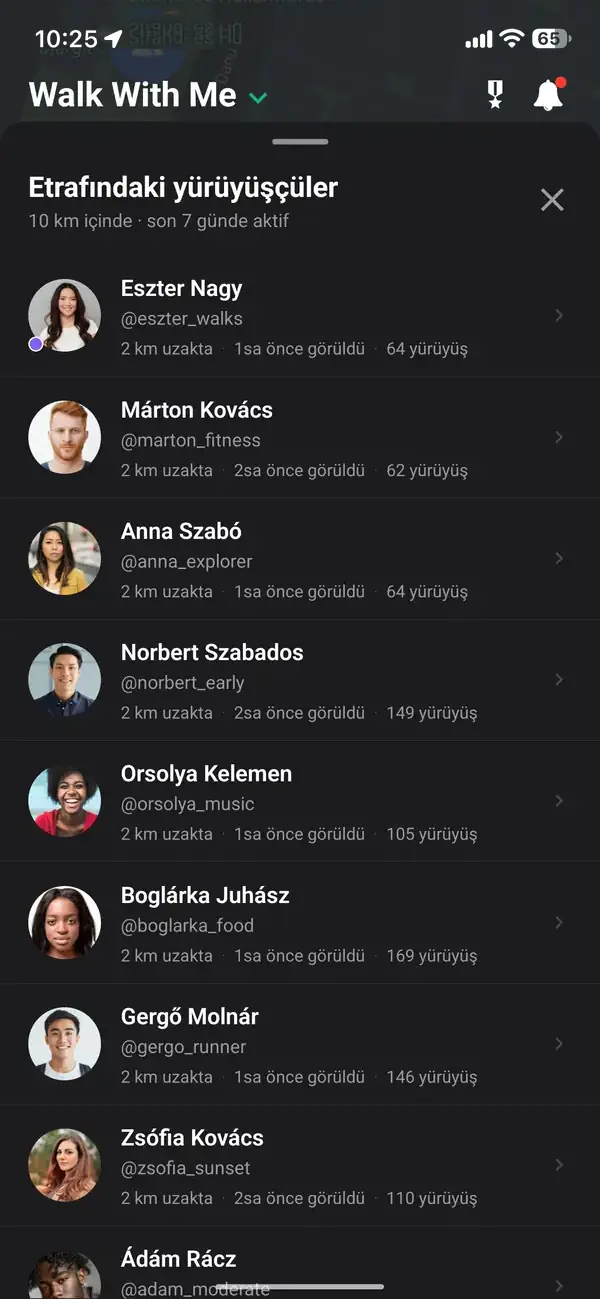 Yaklaşık ve kaydırılmış konumu gösteren harita