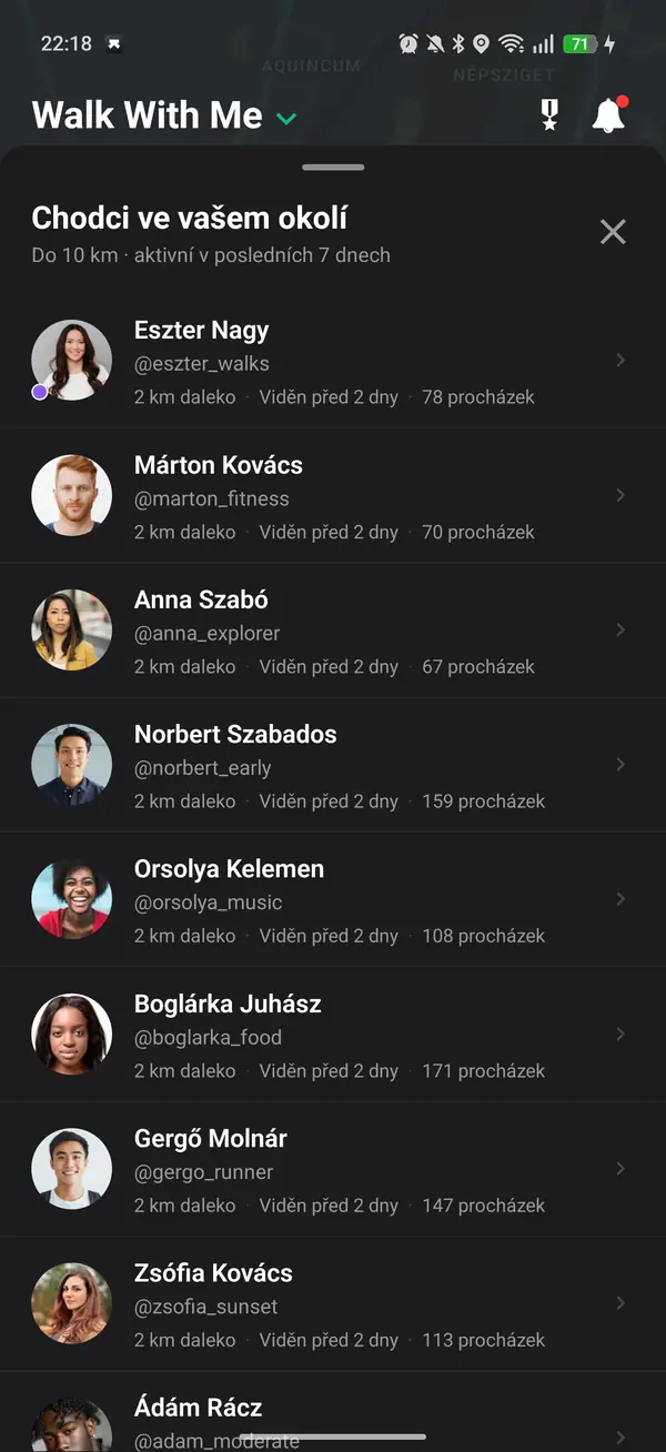 Mapa zobrazující přibližnou, posunutou polohu