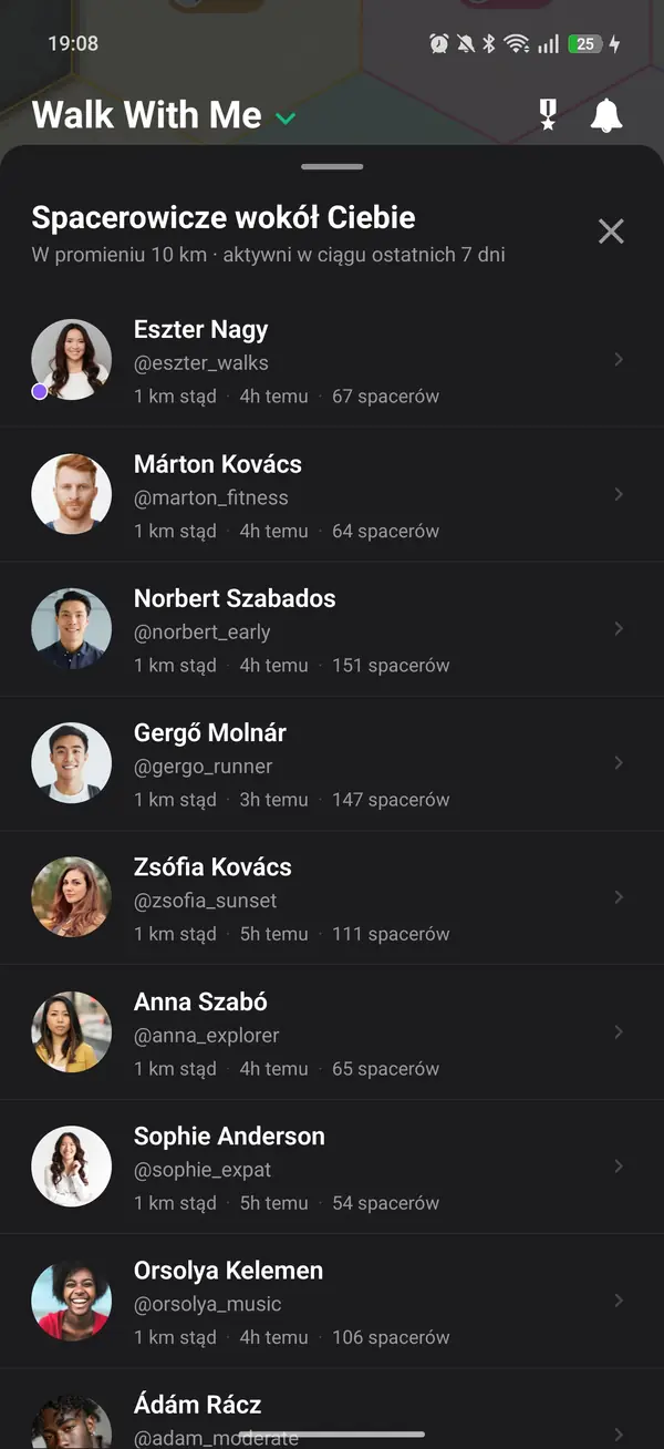 Mapa pokazująca przybliżoną, przesuniętą lokalizację