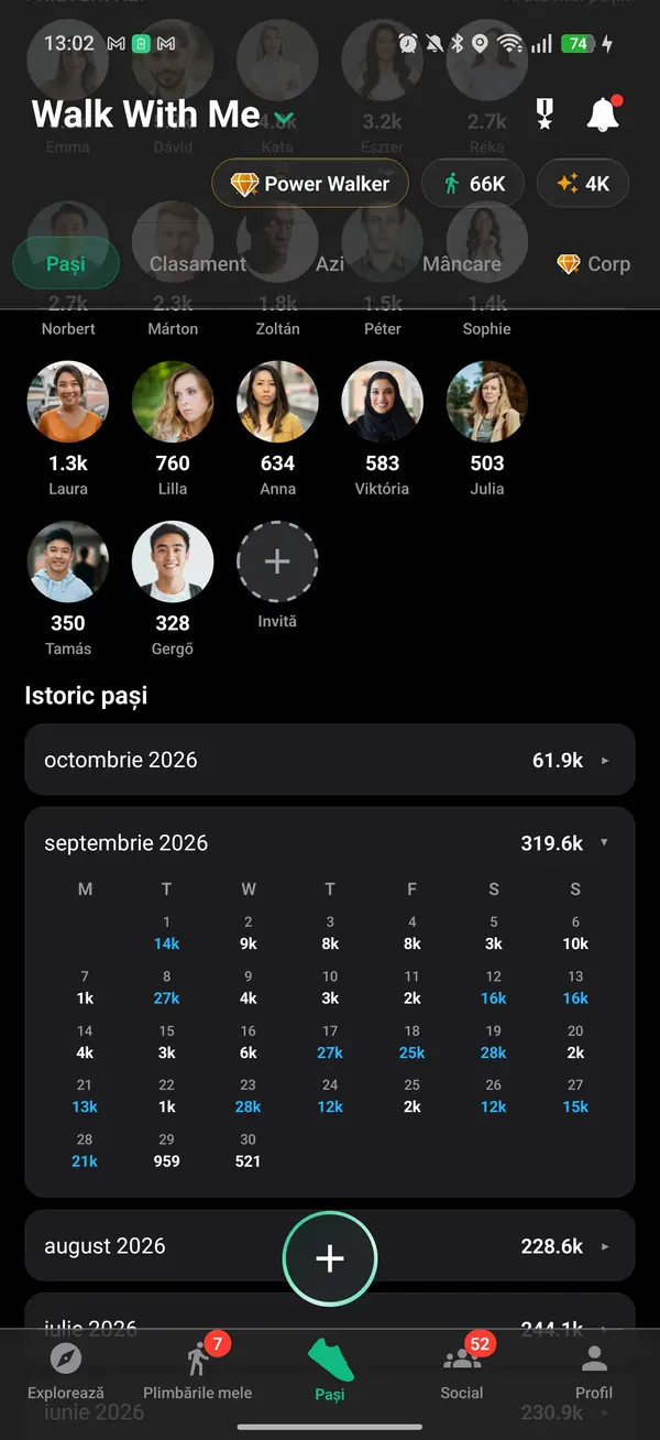 Istoria de pași și rang ținută pe profil