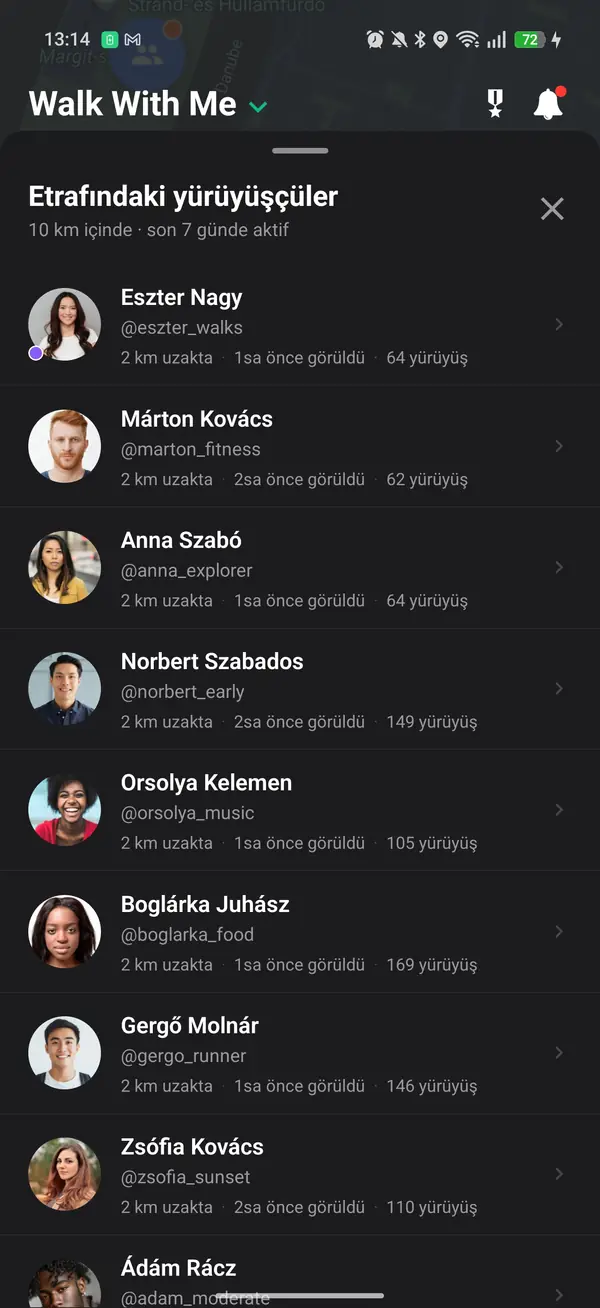 Yaklaşık ve kaydırılmış konumu gösteren harita