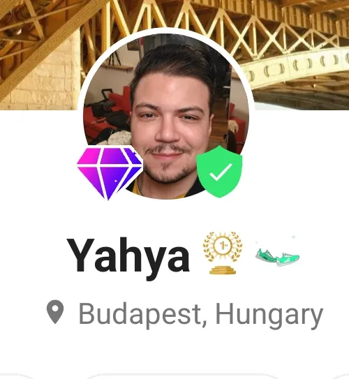 Champion and Pioneer badges on a profile